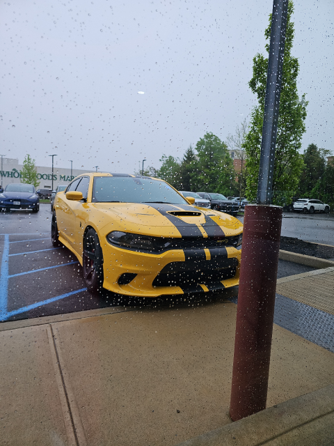 26906070-d1e0-4796-8883-61f95e0f070b.png
