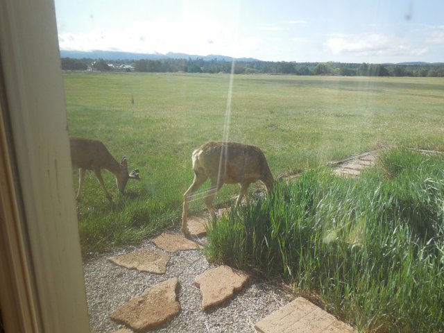 DSCN6097.JPG