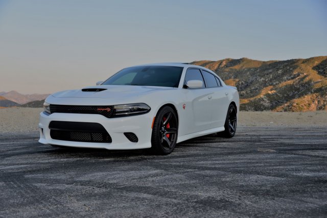 Hellcat Photo Short 3.jpg