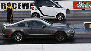 mustang showoff 2.gif