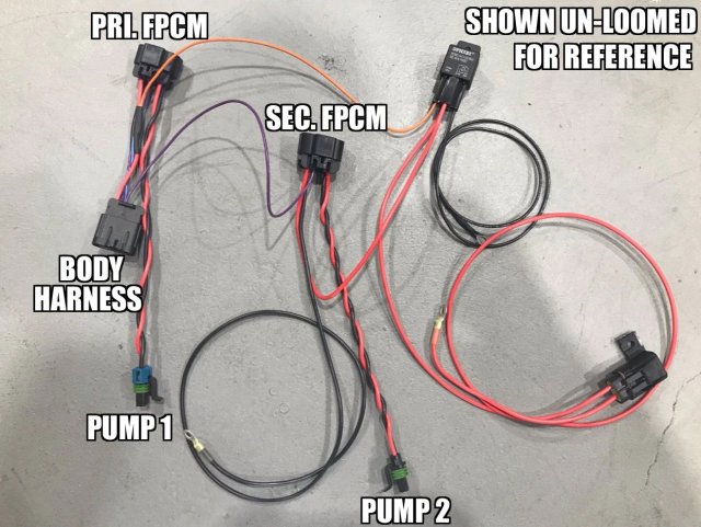 tapped_dual_pump_wiring.jpg